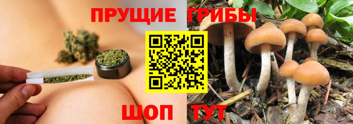 Псилоцибиновые грибы MAGIC MUSHROOMS Георгиевск